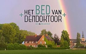 Het Bed van den Doktoor